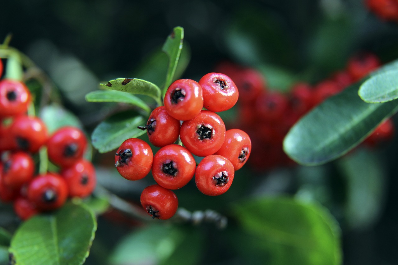 虎扑体育官方:恐怖攻击力!18年西甲,梅西双响苏牙戴帽,巴萨6-1大胜赫罗纳.